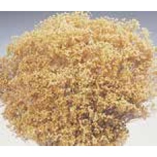 BLOOMS BROOM Natural (BULK)-